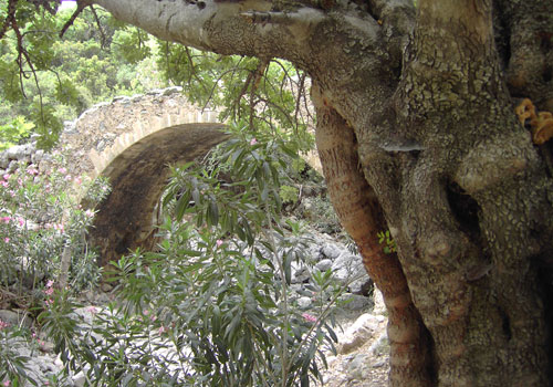 Crete walks :Venetian bridge in Polyrinia gorge 