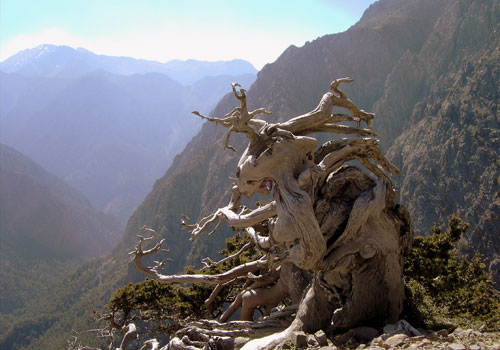 Crete walks: View from Ginglios to Samaria gorge